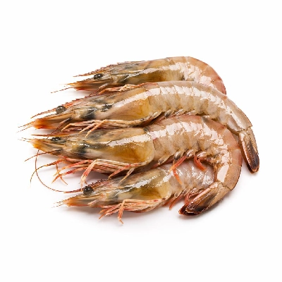 Tesco Fresh Food Shell on King Prawns