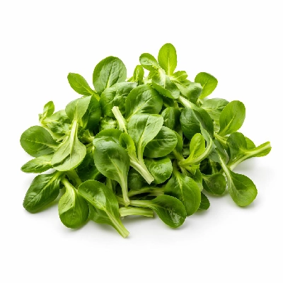 Tesco Fresh Food Unwashed Lambs Lettuce