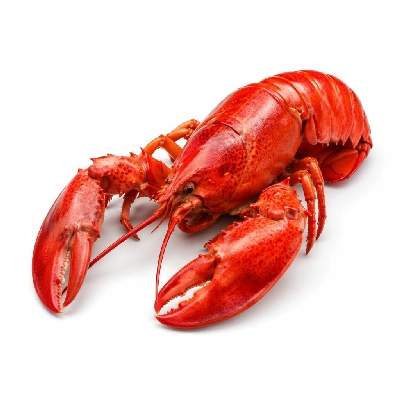 Tesco Frozen Food Meat Fish Poultry & Seafood Cooked Atlantic Lobster