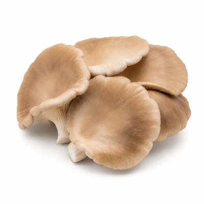 Tesco Large Flat Mushrooms