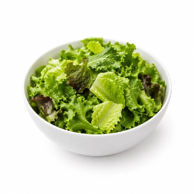 The Cheesecake Factory Lunch Green Salad