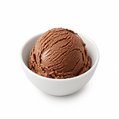 The Yard Milkshake Bar Chocolate Ice Cream 4 Oz Bowl
