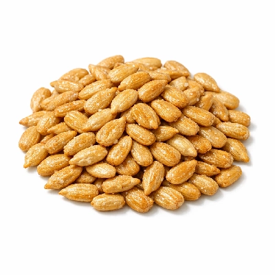 Toasted sunflower seed kernels (shelled) with salt