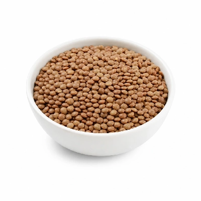 Tree of Life UK De Rit Organic Lentils