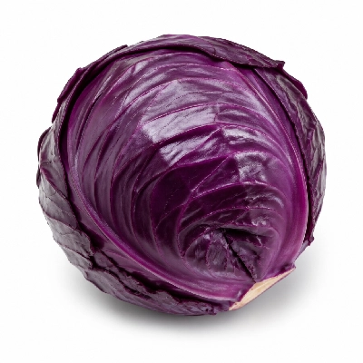 Tree of Life UK De Rit Organic Red Cabbage