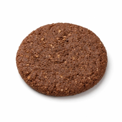 Tree of Life UK Molenaartje Wholegrain Chocolate Biscuit