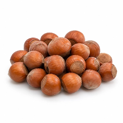 Tree of Life UK Nuts Nature's Store Hazelnuts (Whole)