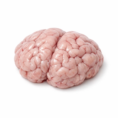 Veal variety meats and by-products brain raw