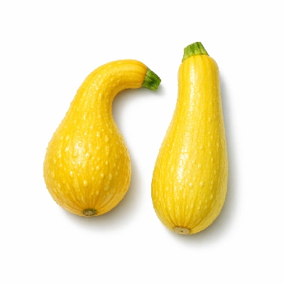 Vegetables squash summer crookneck and straightneck raw