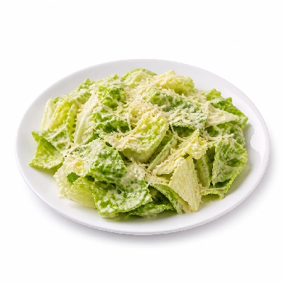 Village Inn Kids Menu Items Caesar Salad