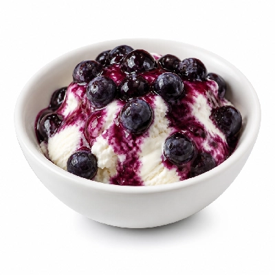 Village Inn Kids Menu Items Sundae Blueberry