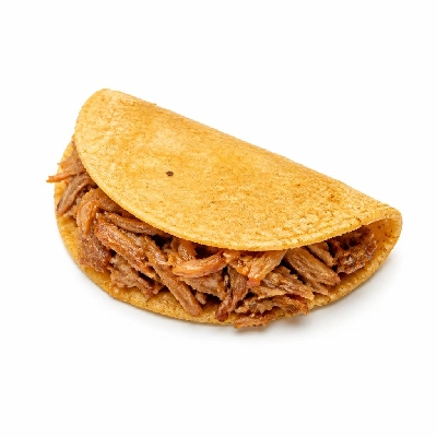 Wahoo's Fish Taco Kid's Taco Carnitas