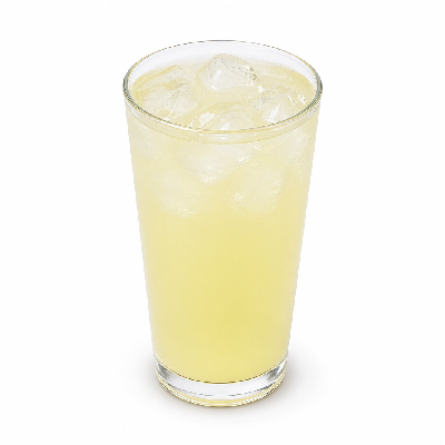 Wawa 16 Oz Diet Lemonade