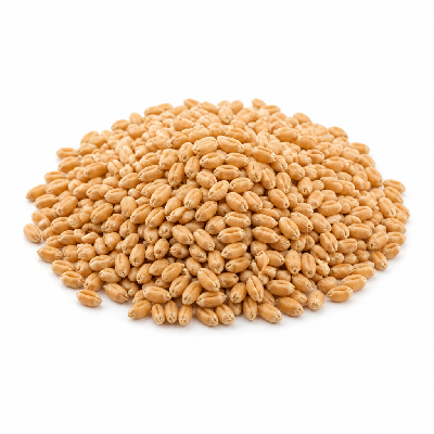 Wawa Bread Wheat