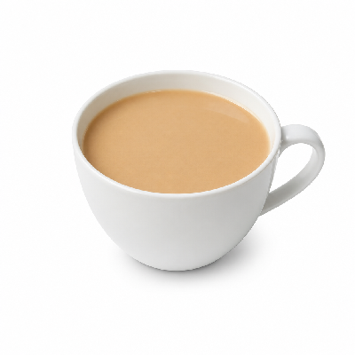Wawa Pumpkin Chai Tea Oat Milk 16 Oz