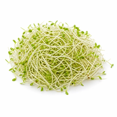 Wegmans Produce Vegetables Alfalfa Sprouts