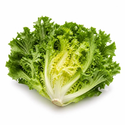 Wegmans Produce Vegetables Escarole