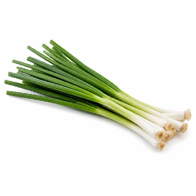 Wegmans Produce Vegetables Green Onion