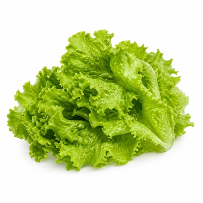 Wegmans Produce Vegetables Leaf Lettuce