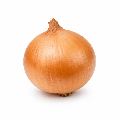 Wegmans Produce Vegetables Onion
