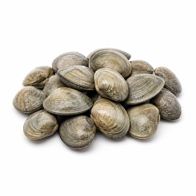 Wegmans Seafood Fresh Clams