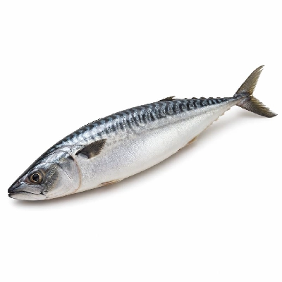 Wegmans Seafood Fresh Mackerel