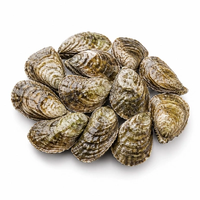 Wegmans Seafood Fresh Oysters 12 Medium