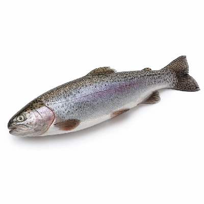 Wegmans Seafood Fresh Rainbow Trout