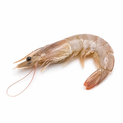 Wegmans Seafood Fresh Shrimp