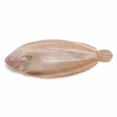 Wegmans Seafood Fresh Sole