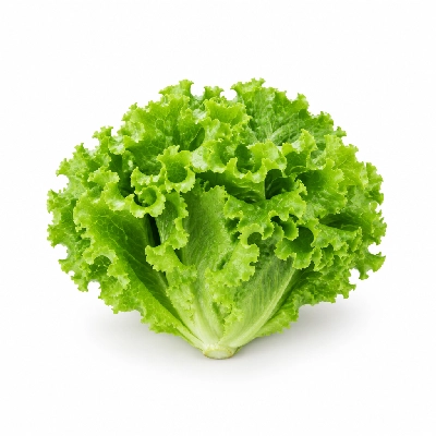 Western Sizzlin Cold Buffet Salad Bar Green Leaf Lettuce