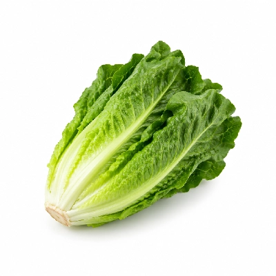 Western Sizzlin Cold Buffet Salad Bar Romaine
