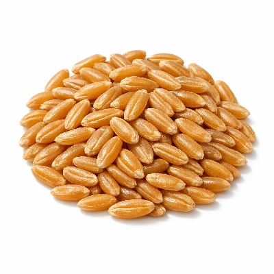 Wheat kamut khorasan uncooked