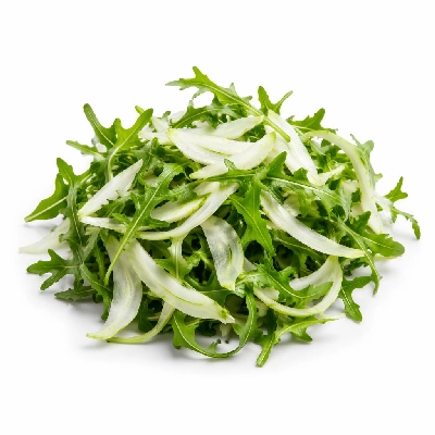 Whole Foods Market Recipes Salads Arugula and Fennel