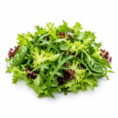 Whole Foods Market Recipes Salads Frisee and Baby Greens with Grapefruit Citranette