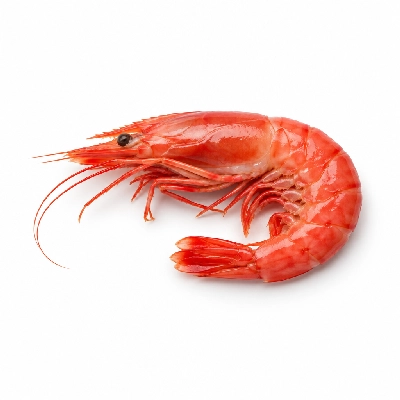 Wild Fork Argentine Red Shrimp