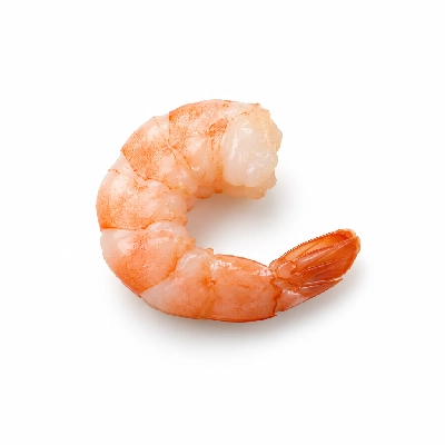 Wild Fork Key West Pink Medium Shrimp