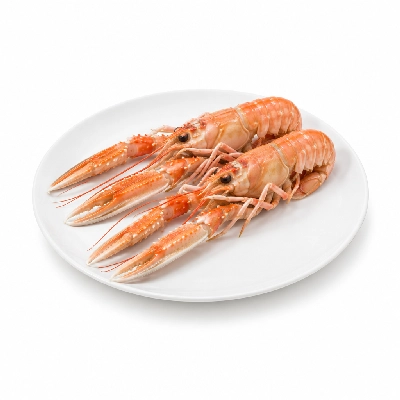Wild Fork Langoustines Norway Lobster
