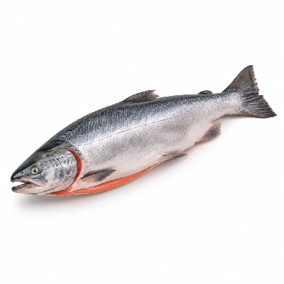 Wild Fork Skin-On Whole Sockeye Salmon