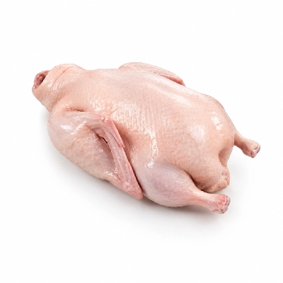 Wild Fork Whole Duck