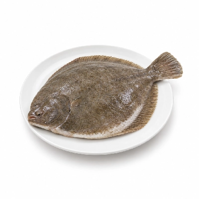 Wild Fork Whole Turbot