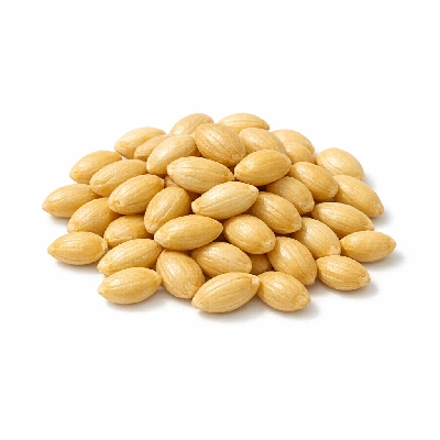 Wocas dried seeds oregon yellow pond lily (klamath)