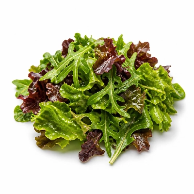 Yard House Appetizer Salads Mixed Greens (1 Serving) with Soy Vinaigrette