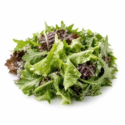 Yard House Lunch Specials Mixed Greens (1 Salad) with Caesar Dressing
