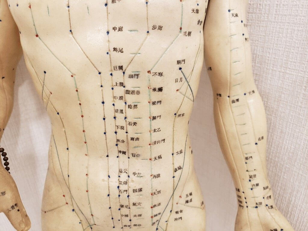 Acupuncture model showing body meridian lines and pressure points used for weight loss and digestion control.