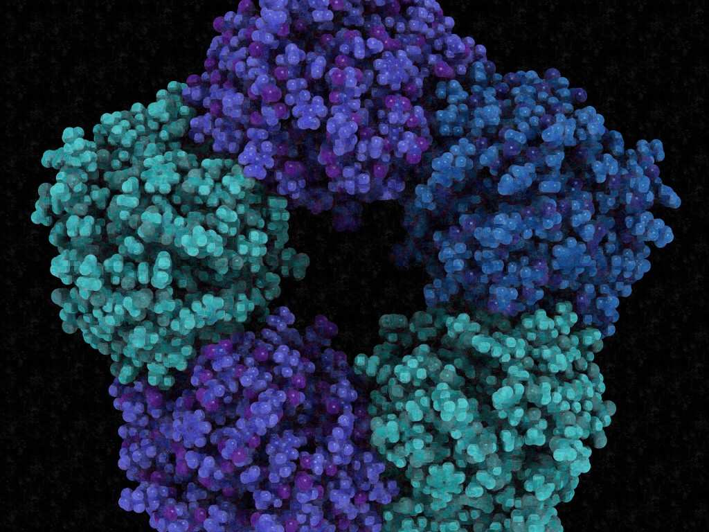 inflammatory biomarkers reduced by intermittent fasting for better metabolic health