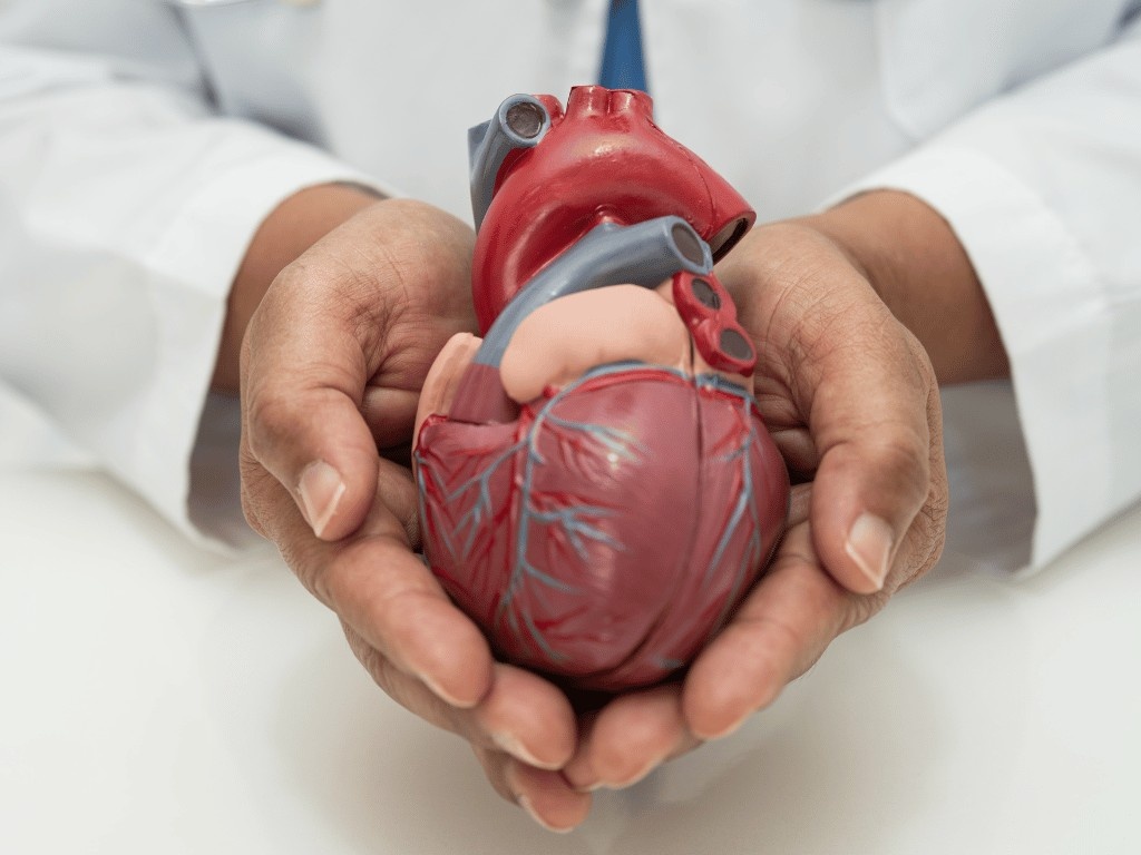 paleo diet benefits for cardiovascular health and heart disease prevention.