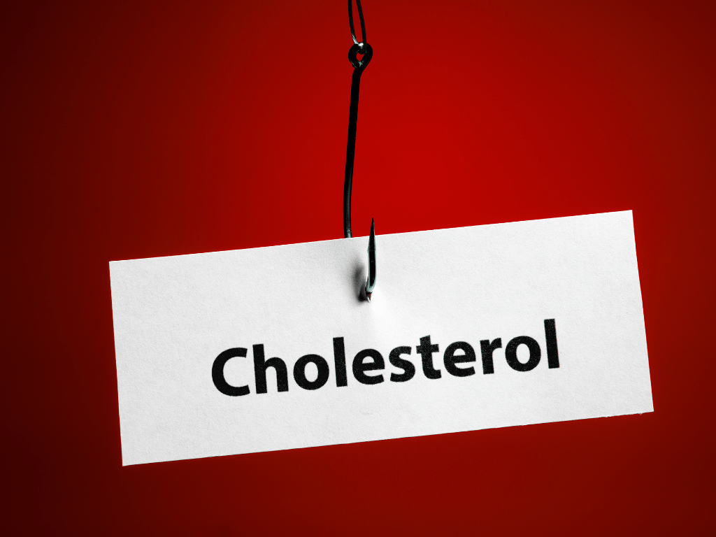 Cholesterol label on red background showing oatmeal diet benefit of lowering cholesterol levels.