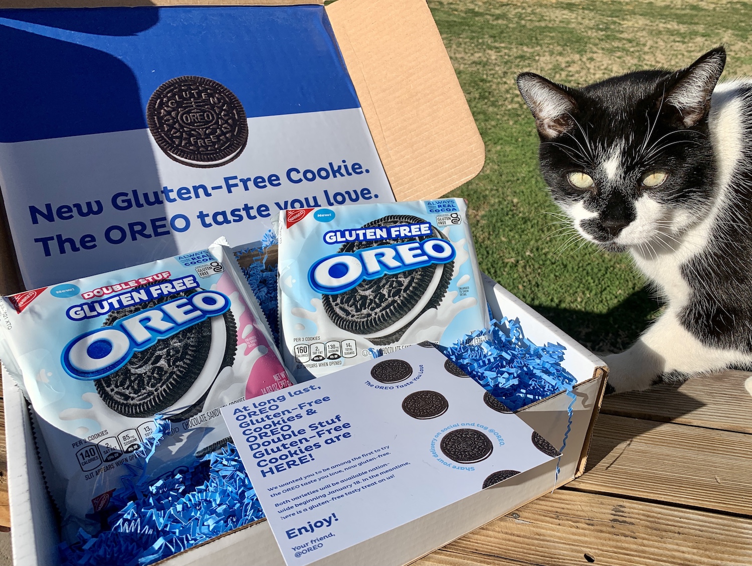 OREO gluten-free original and double stuf cookies in a box, featuring the classic chocolate sandwich taste.