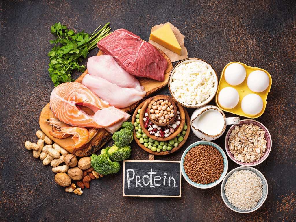 Meat, fish, eggs, dairy, beans, and nuts are protein-rich foods that help build and repair body tissues.